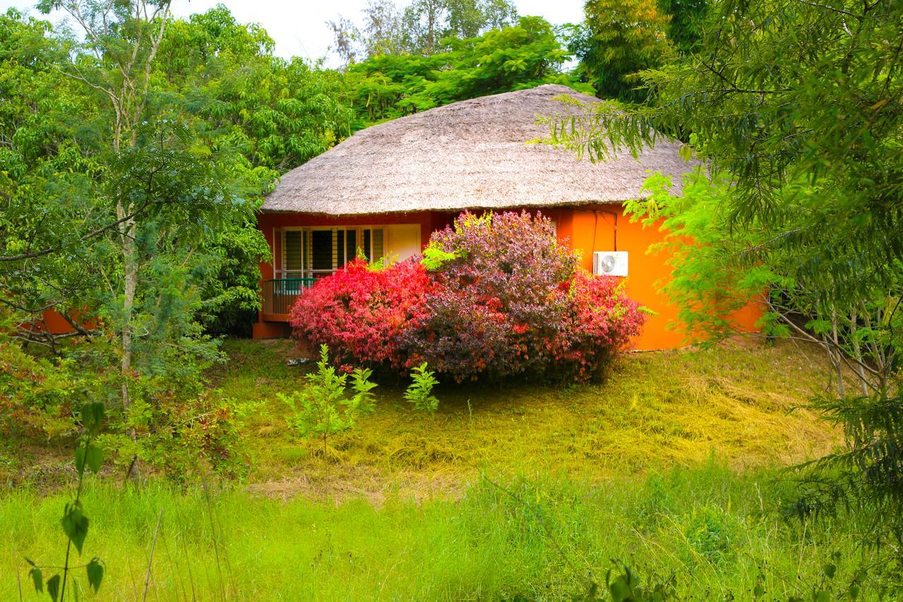 Kings Sanctuary Nagarhole & Kabini Hunsur Eksteriør bilde